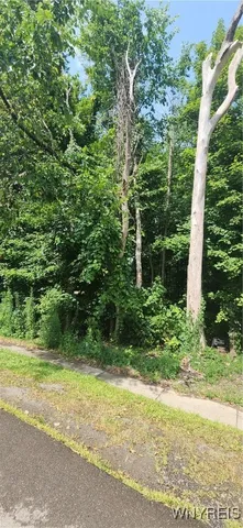 $49,900 | V/l Boston State Road, Boston, NY 14025