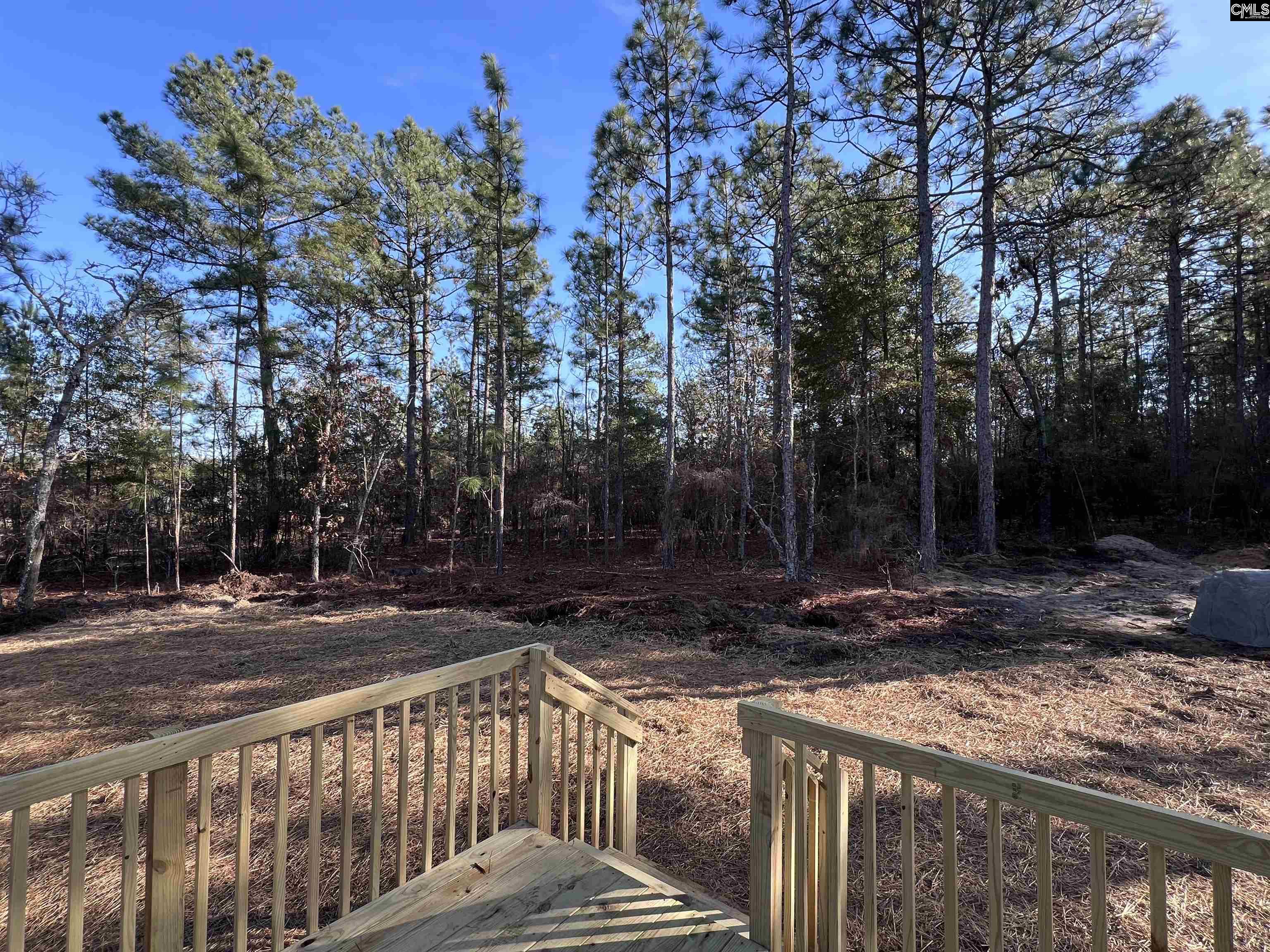 779 Thor Road Pelion, SC 29123 - Photo 6 of 19