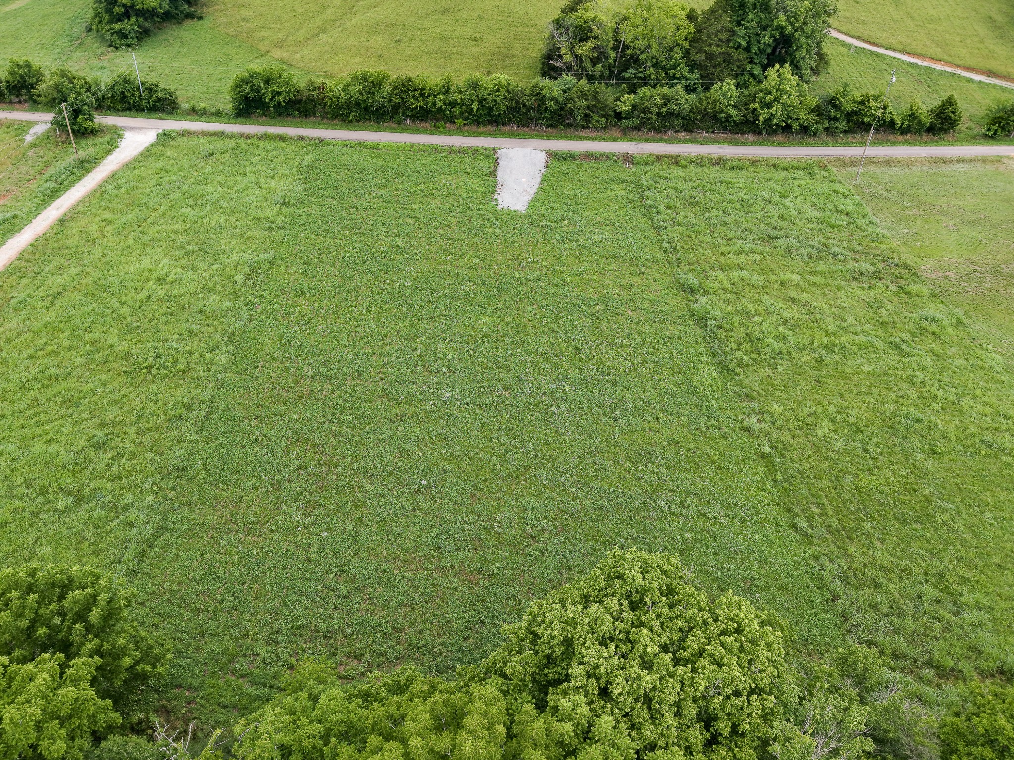 386 Cathcart Road Frankewing, TN 38459 - Photo 8 of 12