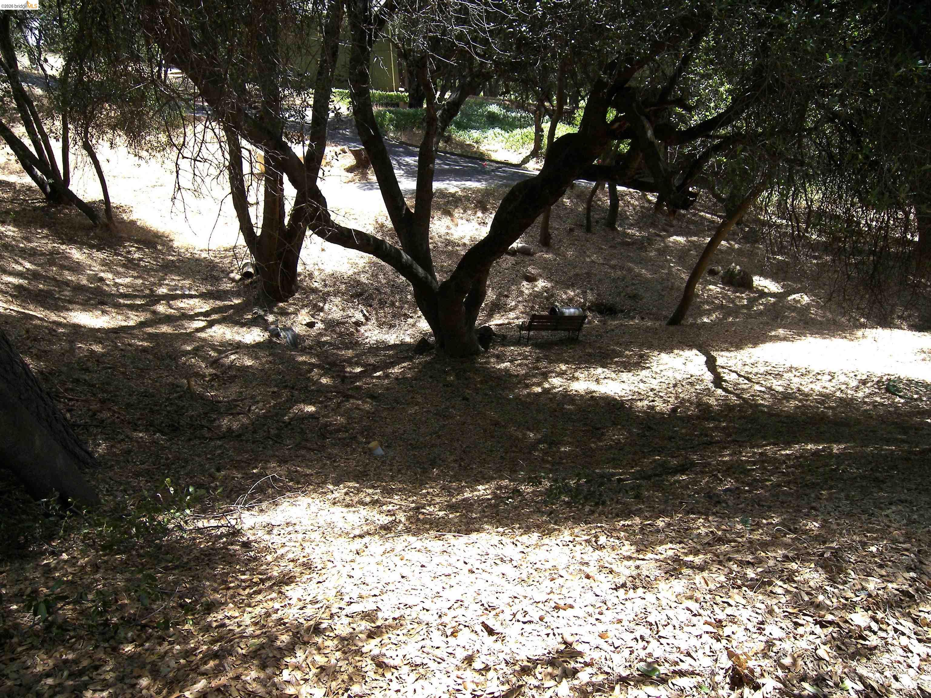 19215 Ferretti Road Groveland, CA 95321 - Photo 35 of 40 Natural wooded area featuring mature trees and dappled sunlight