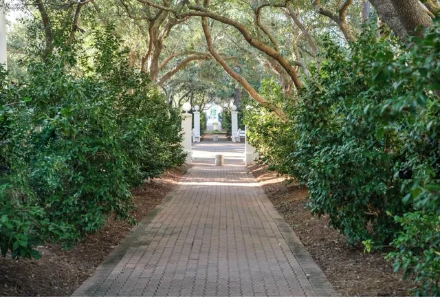 a view of a yard with plants and a building