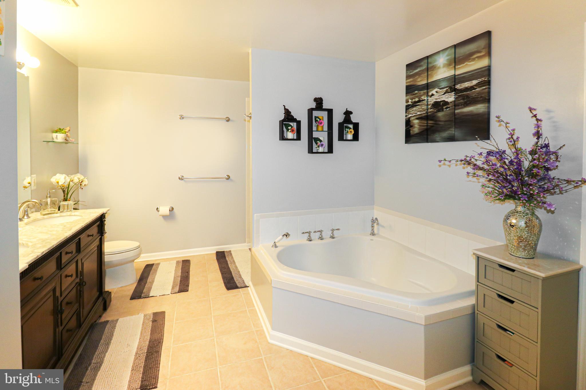 40 Ripley Road Stafford, VA 22556 - Photo 24 of 50 Master Bath with shower at the far wall