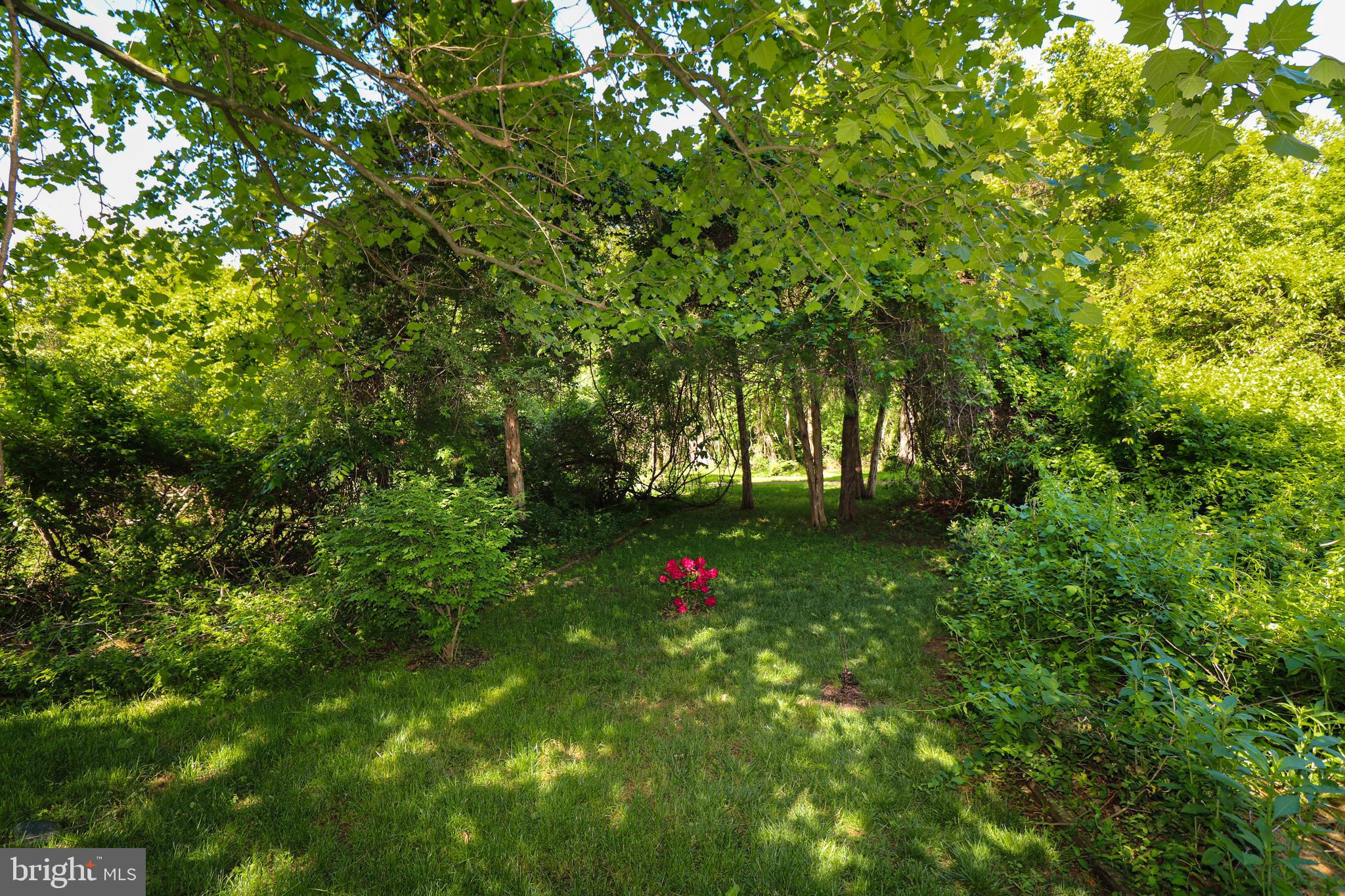40 Ripley Road Stafford, VA 22556 - Photo 43 of 50 Just out your rear gate you have this space