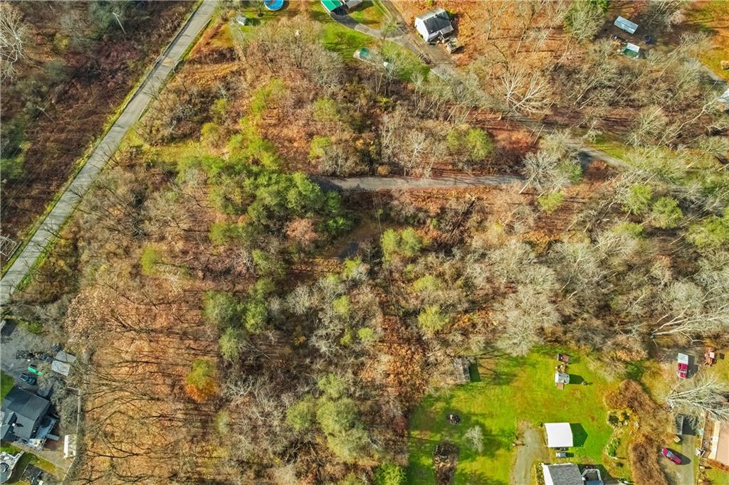 405 Jacoby Road Cheswick, PA 15024 - Photo 4 of 11 a close up of a plant