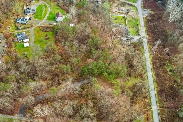 a view of a yard with plants and trees