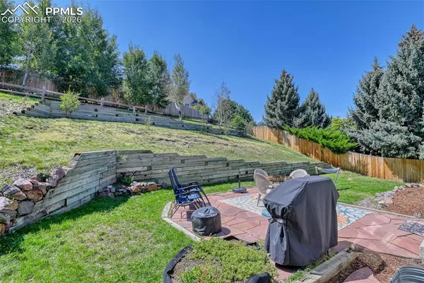 a view of a park with large trees