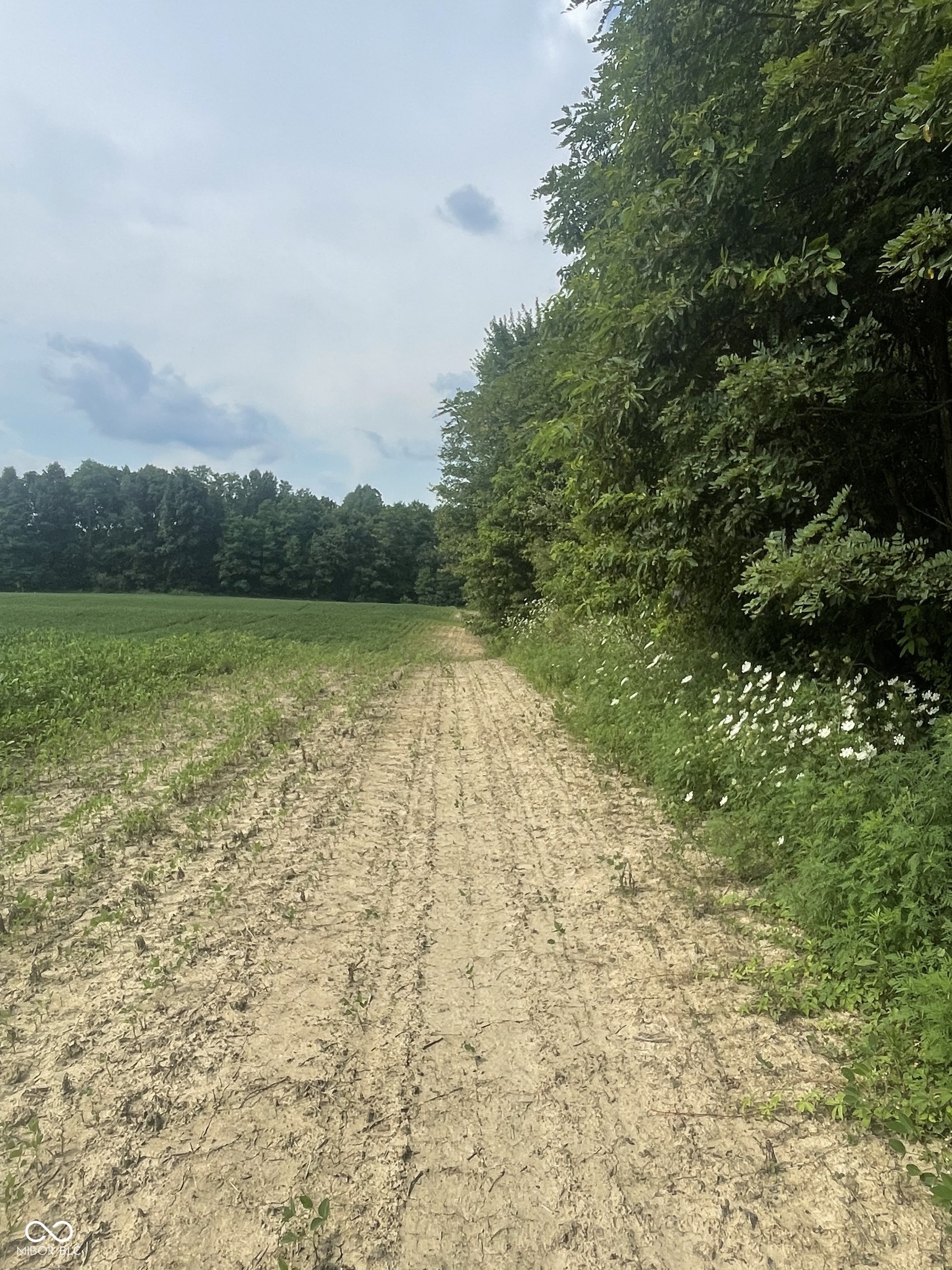 25146 Sanes Creek Road Laurel, IN 47024 - Photo 22 of 80