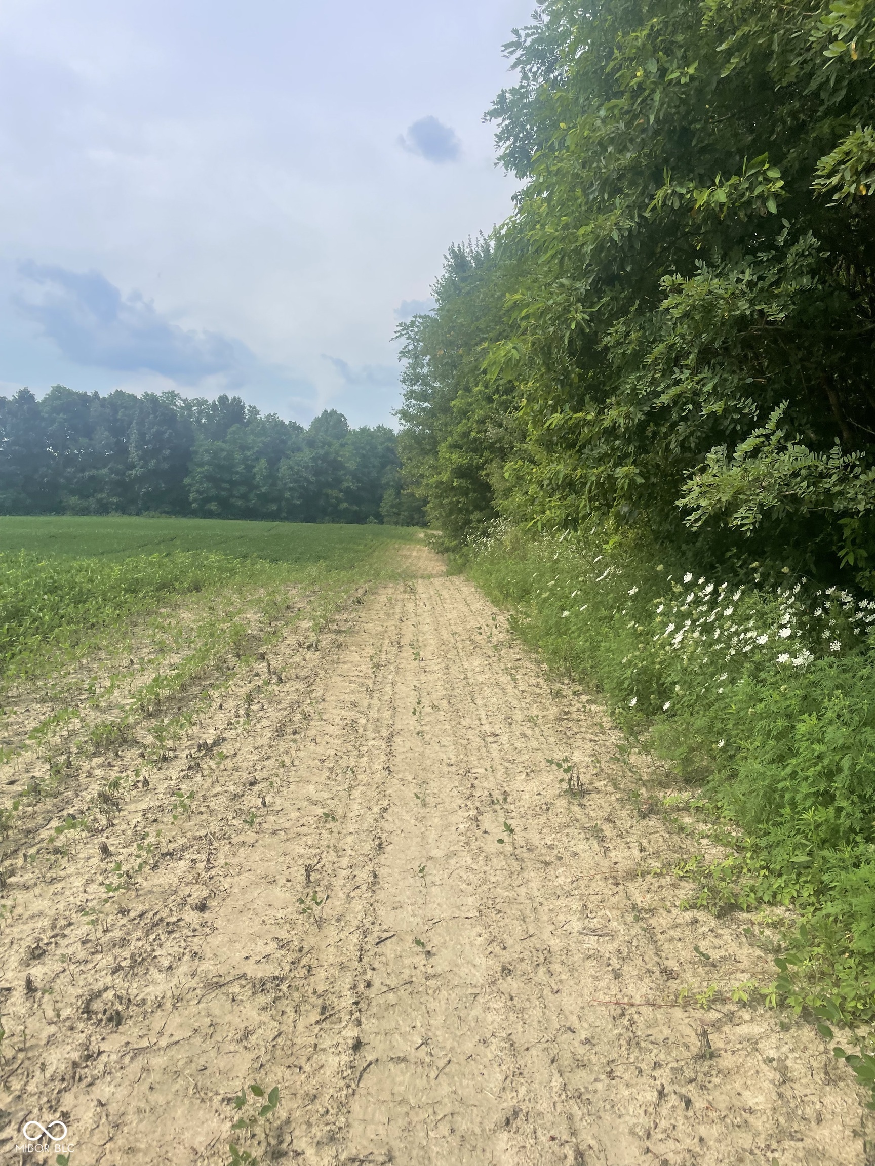 25146 Sanes Creek Road Laurel, IN 47024 - Photo 23 of 80