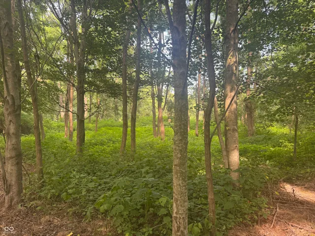 $150,000 | 25146 Sanes Creek Road, Laurel, IN 47024