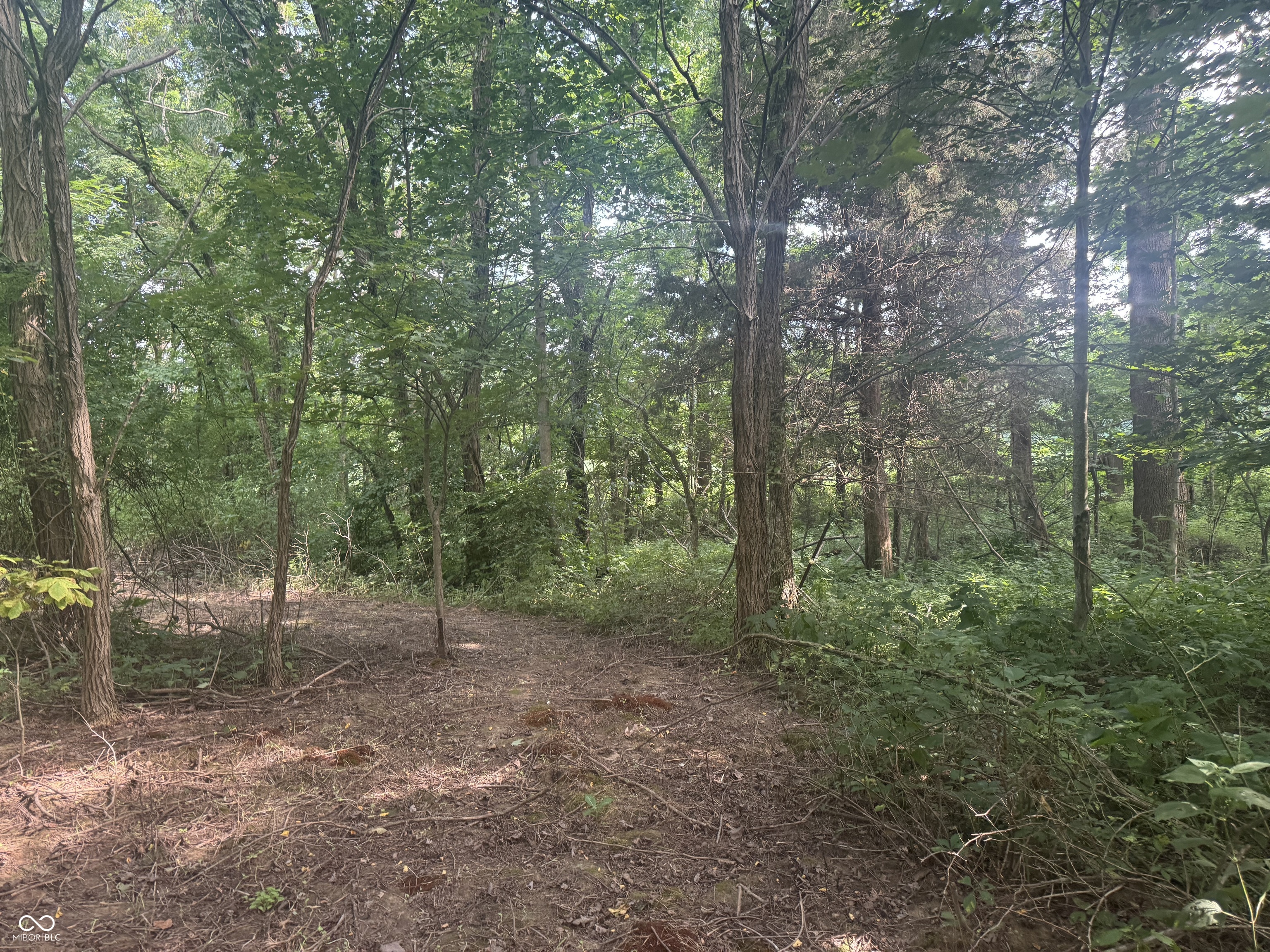 25146 Sanes Creek Road Laurel, IN 47024 - Photo 25 of 80