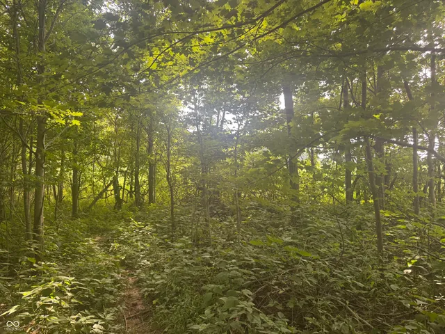 $150,000 | 25146 Sanes Creek Road, Laurel, IN 47024