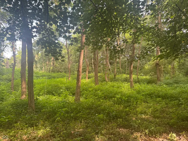 $150,000 | 25146 Sanes Creek Road, Laurel, IN 47024