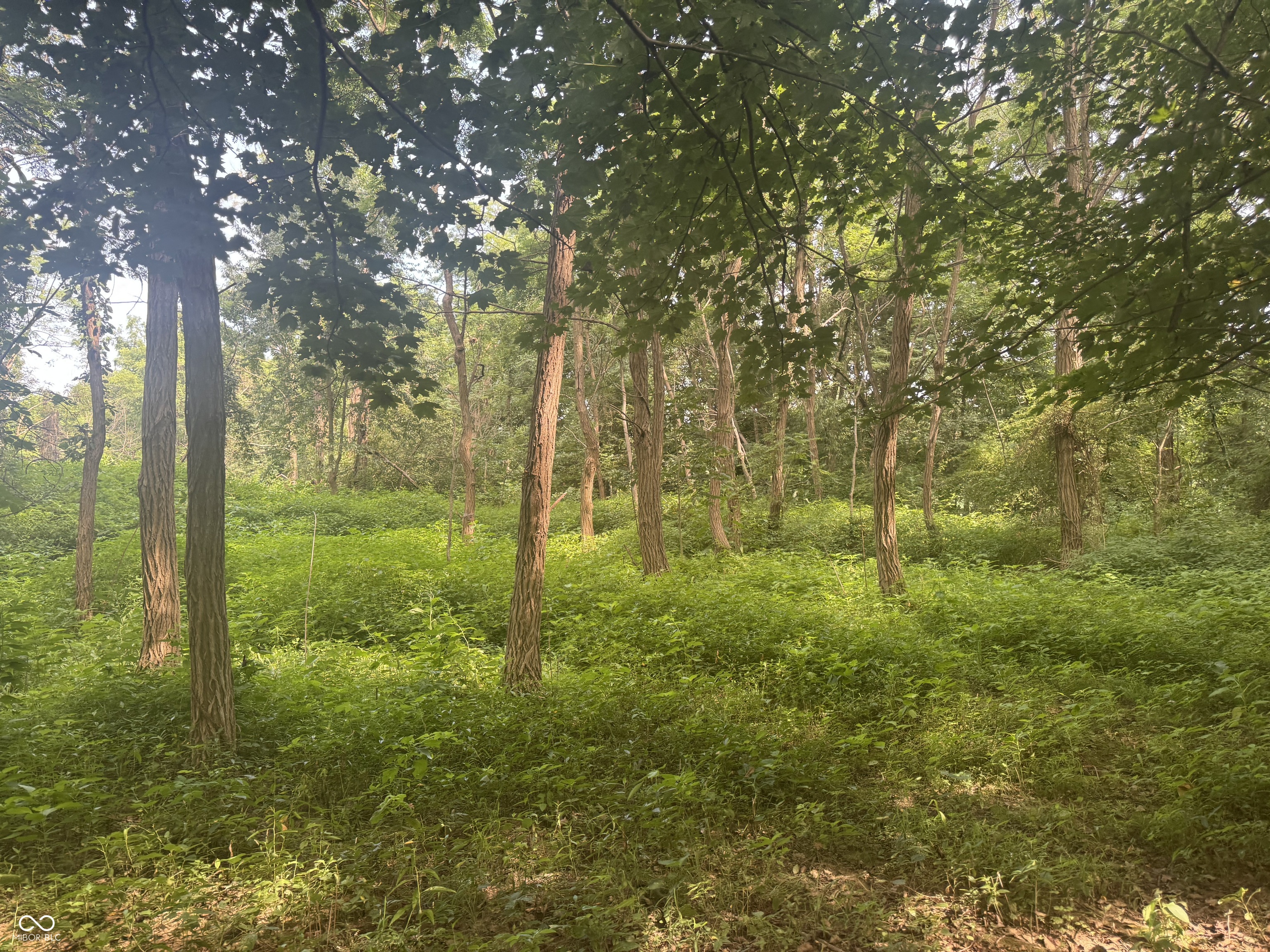 25146 Sanes Creek Road Laurel, IN 47024 - Photo 28 of 80