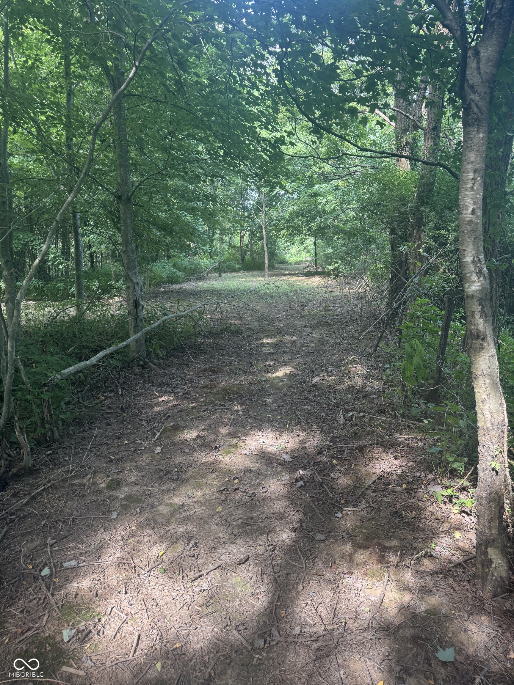 25146 Sanes Creek Road Laurel, IN 47024 - Photo 29 of 80