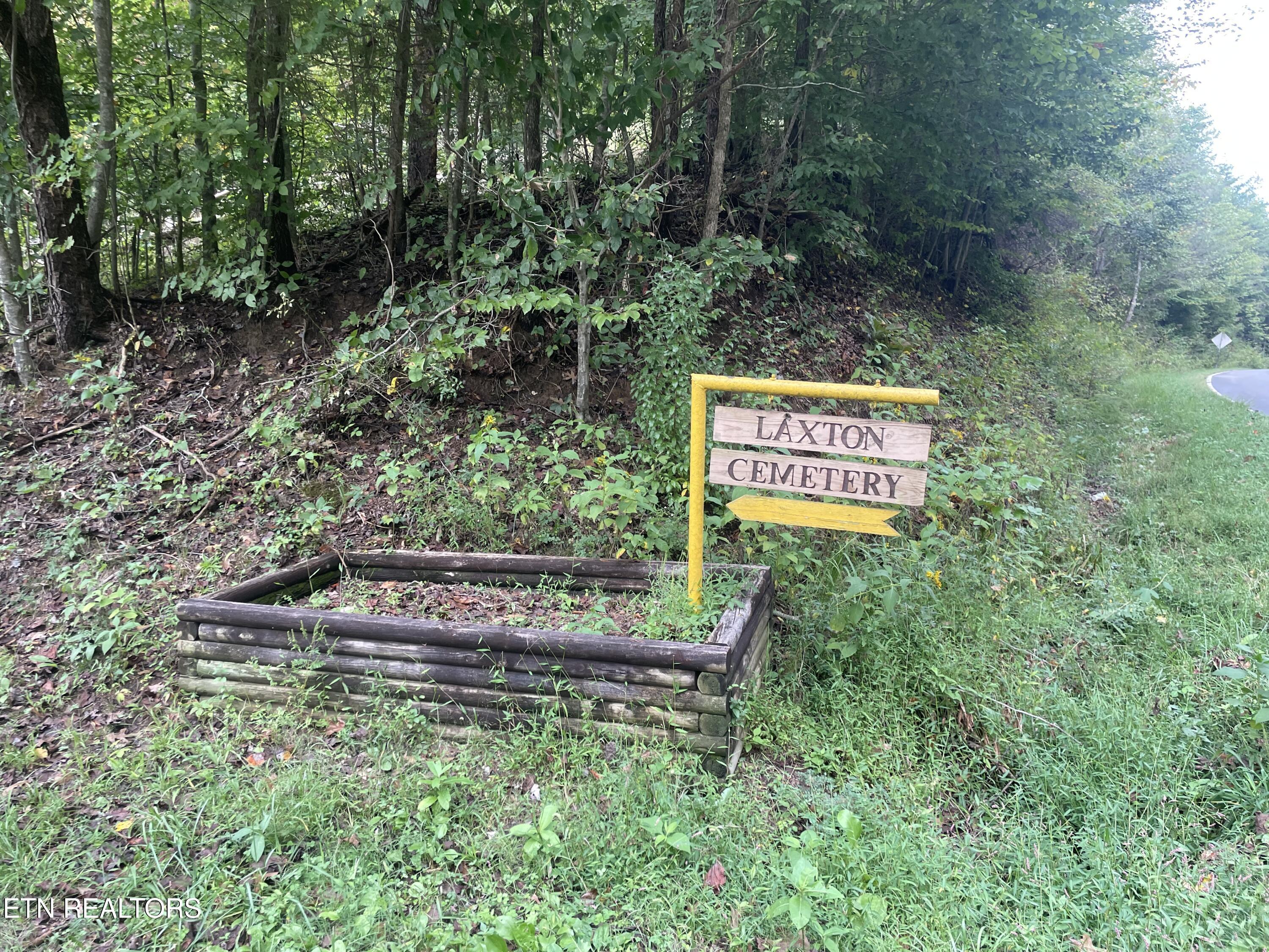 Buffalo Creek Road Oneida, TN 37841 - Photo 2 of 11 IMG_2679