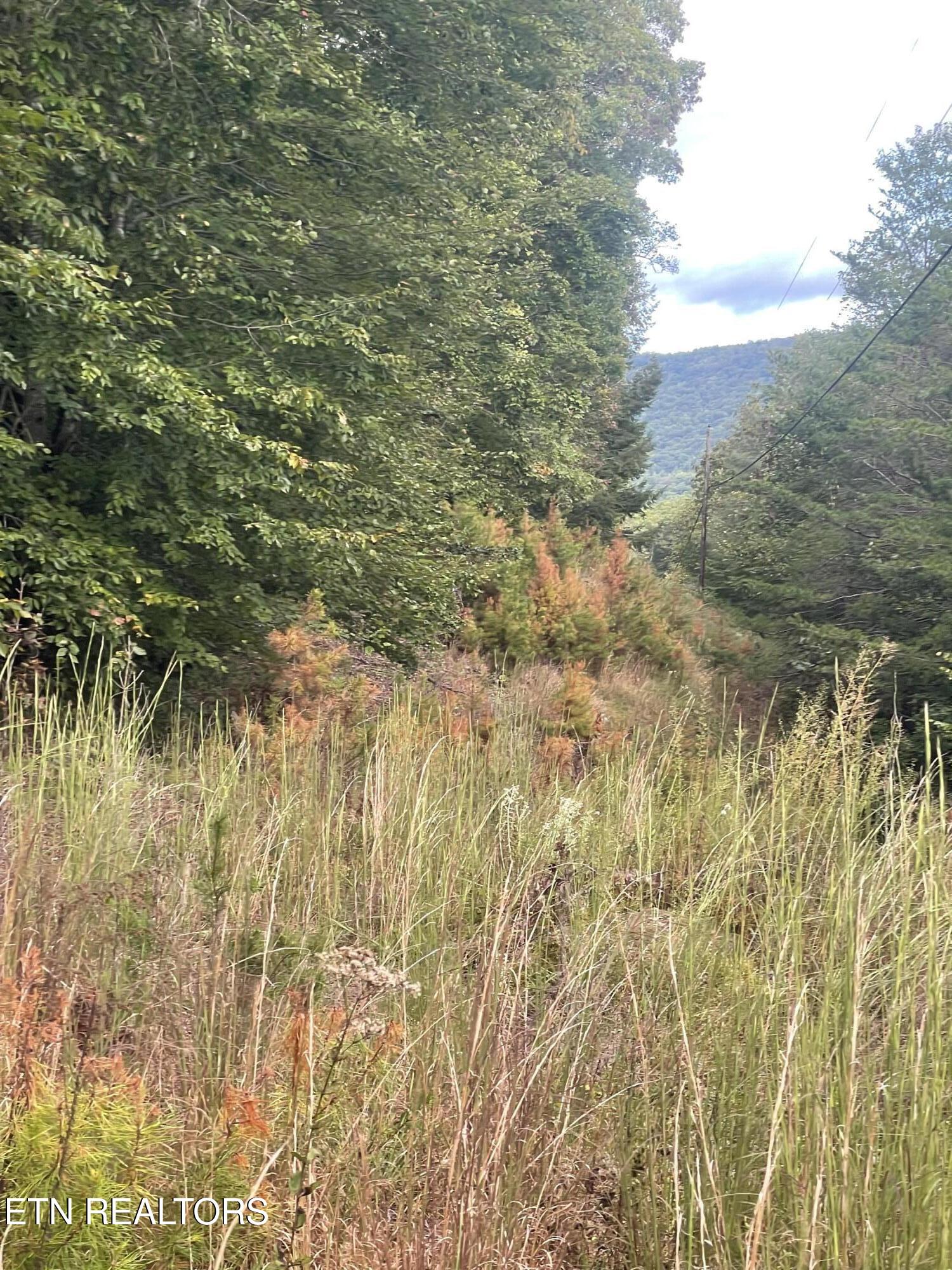 Buffalo Creek Road Oneida, TN 37841 - Photo 3 of 11 IMG_2683