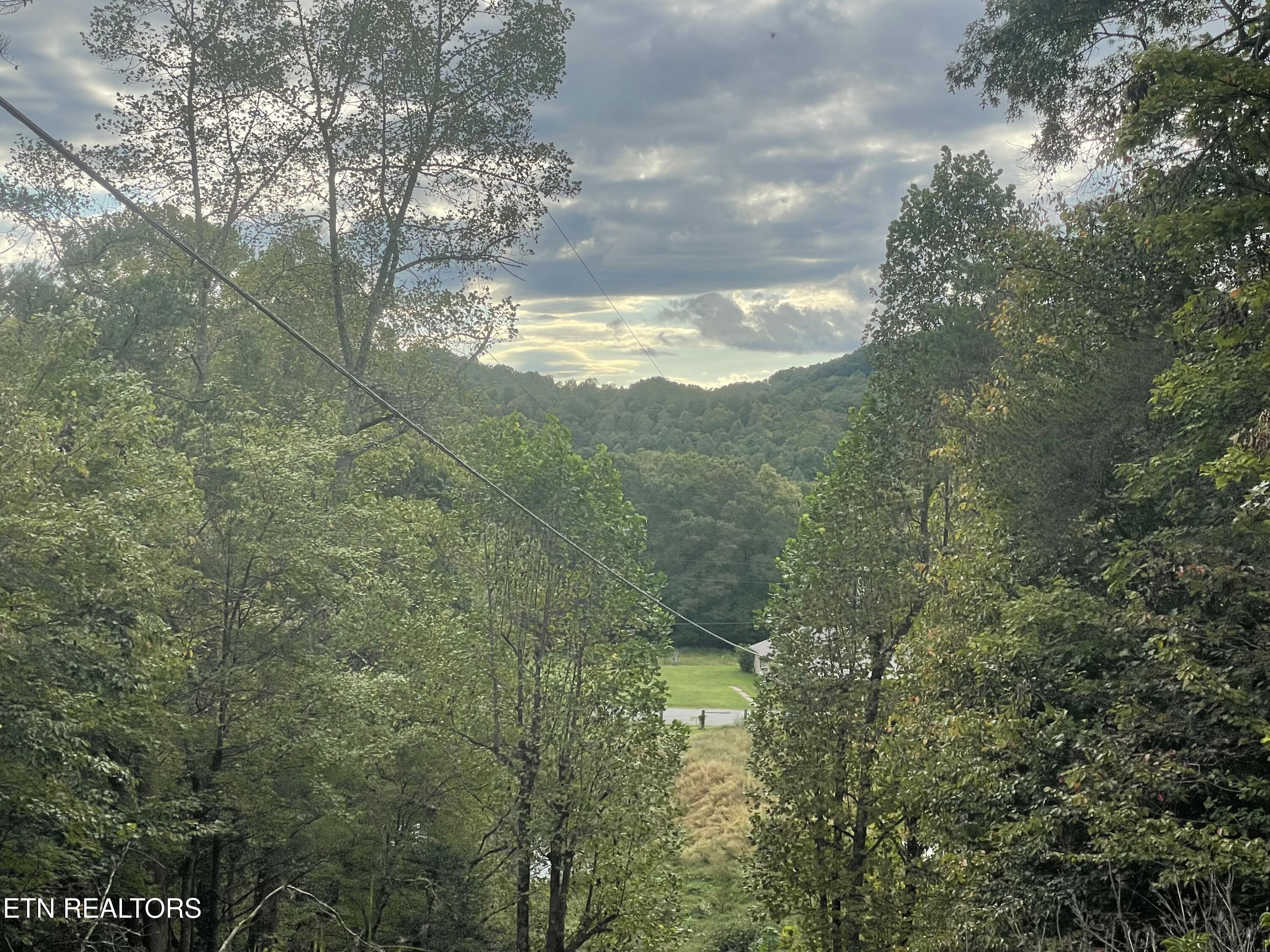 Buffalo Creek Road Oneida, TN 37841 - Photo 4 of 11 IMG_2687