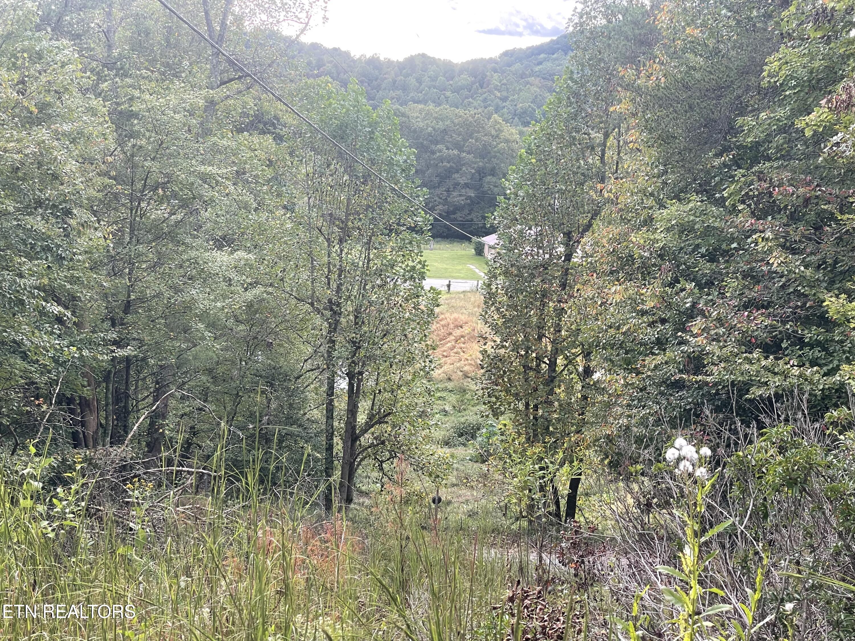 Buffalo Creek Road Oneida, TN 37841 - Photo 10 of 11 IMG_2686