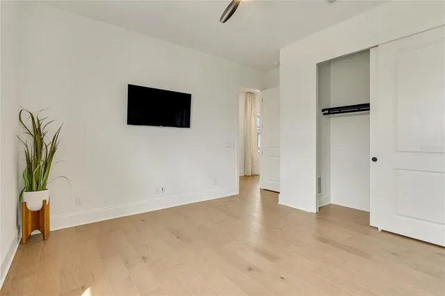 a view of a park with a tree