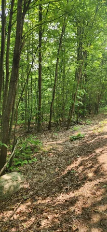 $35,000 | Lot 3 Village View Street, Wilton, ME 04294