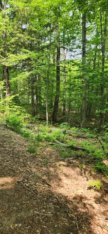 $35,000 | Lot 3 Village View Street, Wilton, ME 04294