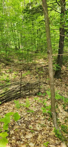 $35,000 | Lot 3 Village View Street, Wilton, ME 04294