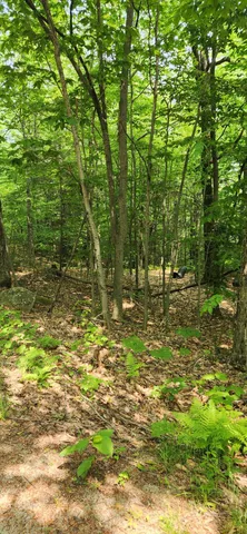 $35,000 | Lot 3 Village View Street, Wilton, ME 04294