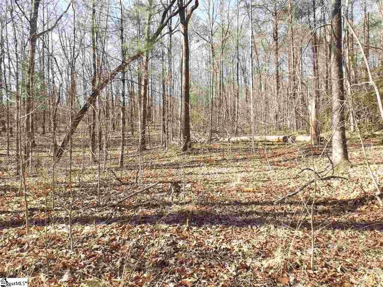 7 Mountain Ridge Estates Road, Unit LOT 6 AND 7 SHEPHERD SPRINGS Cleveland, SC 29635 - Photo 1 of 9 Gallery Image 1
