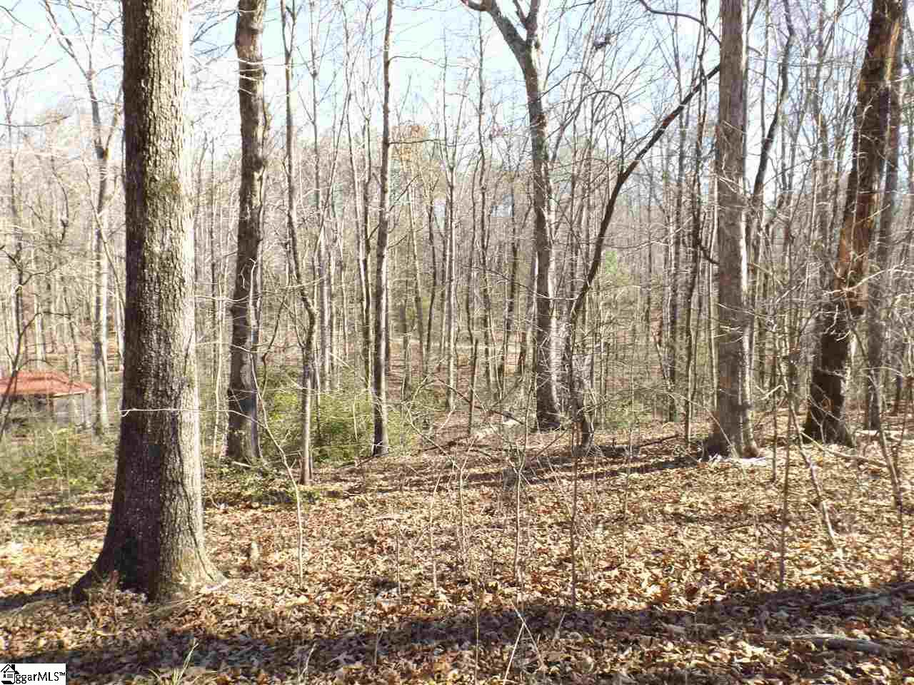7 Mountain Ridge Estates Road, Unit LOT 6 AND 7 SHEPHERD SPRINGS Cleveland, SC 29635 - Photo 2 of 9 Gallery Image 2