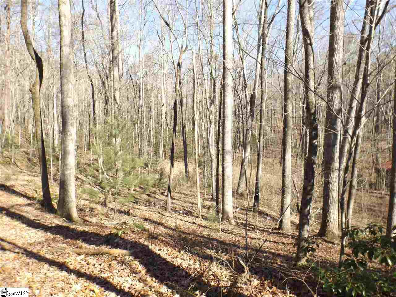 7 Mountain Ridge Estates Road, Unit LOT 6 AND 7 SHEPHERD SPRINGS Cleveland, SC 29635 - Photo 5 of 9 Gallery Image 5