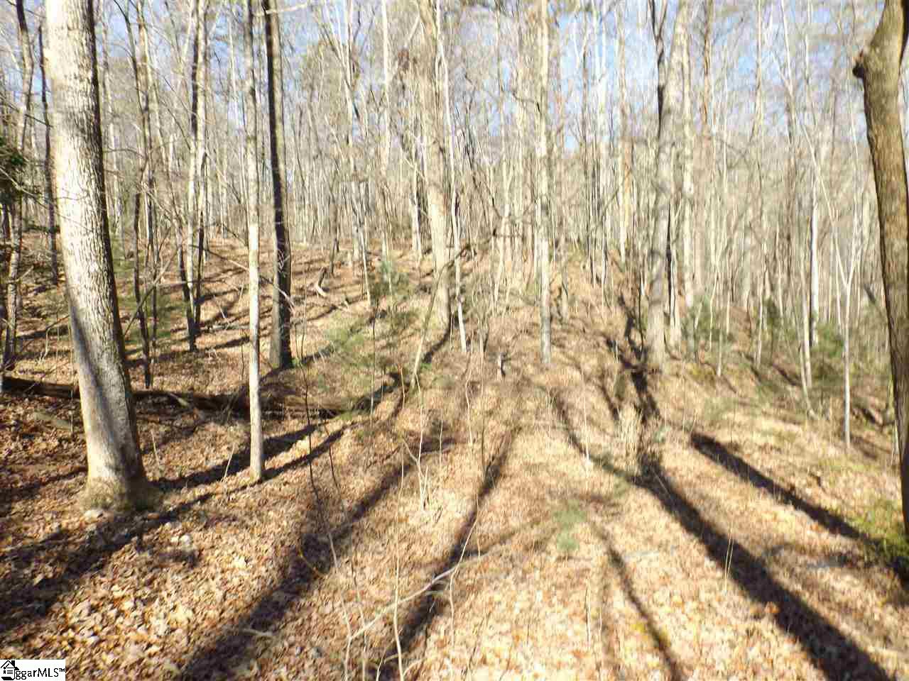 7 Mountain Ridge Estates Road, Unit LOT 6 AND 7 SHEPHERD SPRINGS Cleveland, SC 29635 - Photo 6 of 9 Gallery Image 6