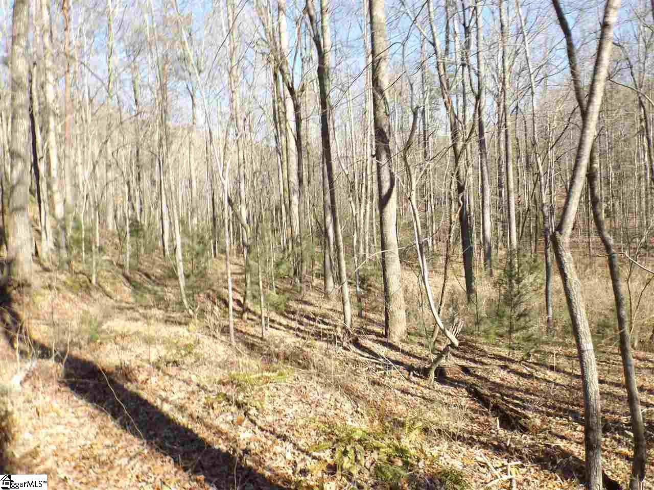7 Mountain Ridge Estates Road, Unit LOT 6 AND 7 SHEPHERD SPRINGS Cleveland, SC 29635 - Photo 7 of 9 Gallery Image 7