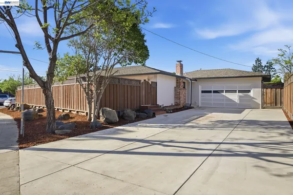 a view of a house with backyard and a tree