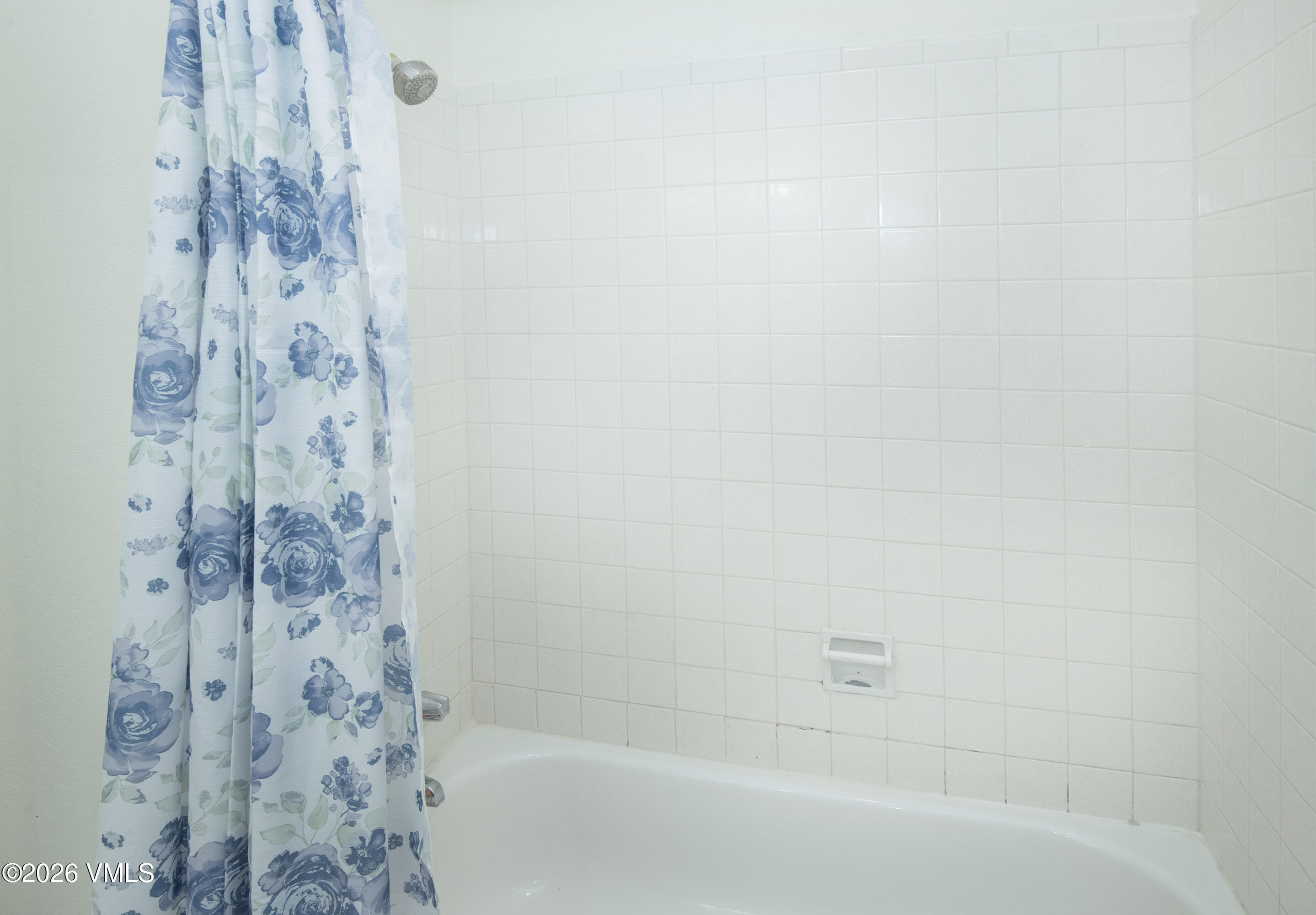 85 Chambers Avenue, Unit 10 Eagle, CO 81631 - Photo 17 of 41 a bathroom with a bathtub and shower