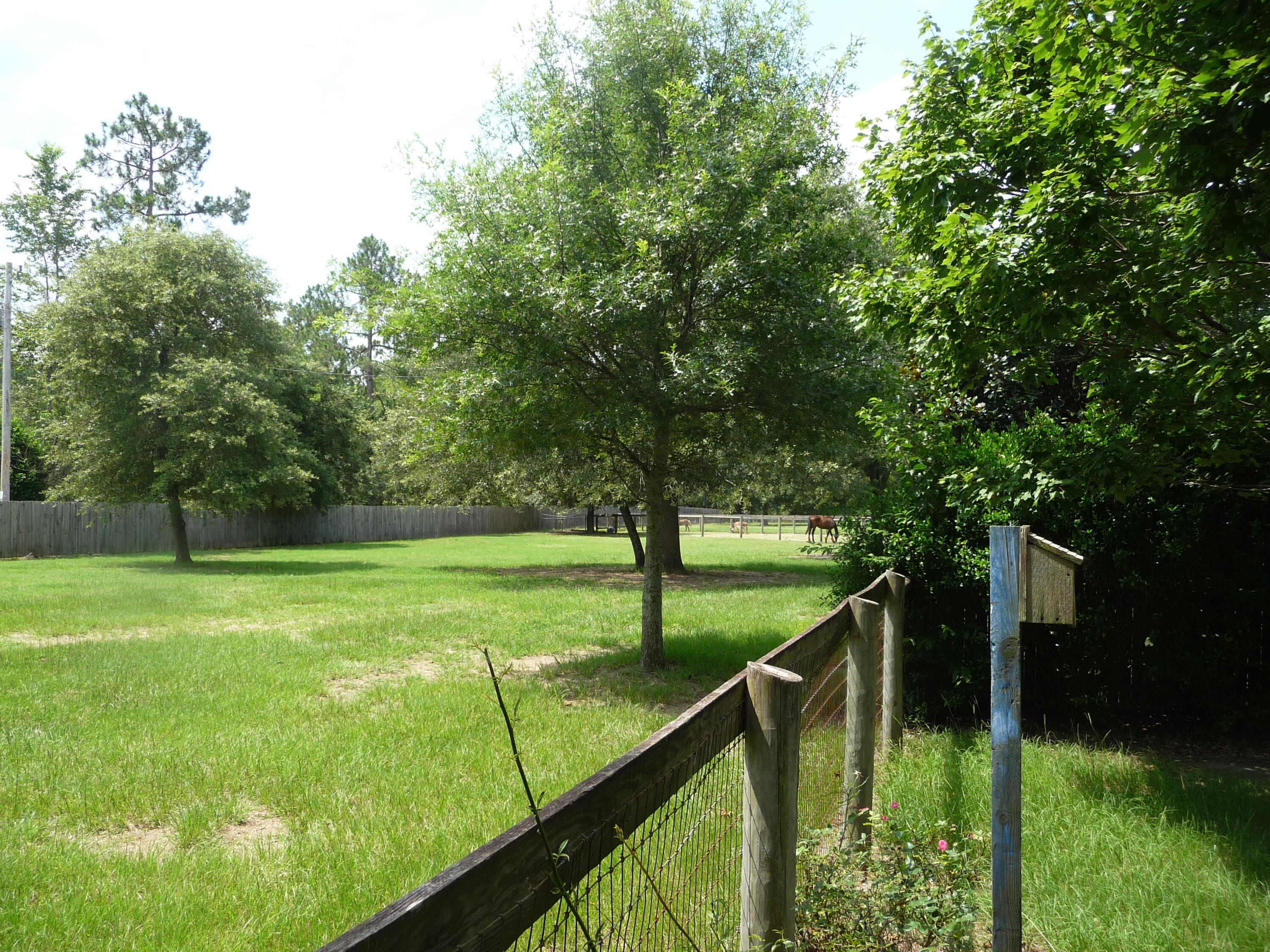 582 John Scott Road Aiken, SC 29803 - Photo 58 of 62