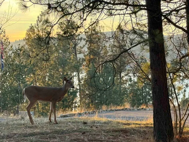 $1,599,950 | 2008 South Zephyr Road, Liberty Lake, WA 99019