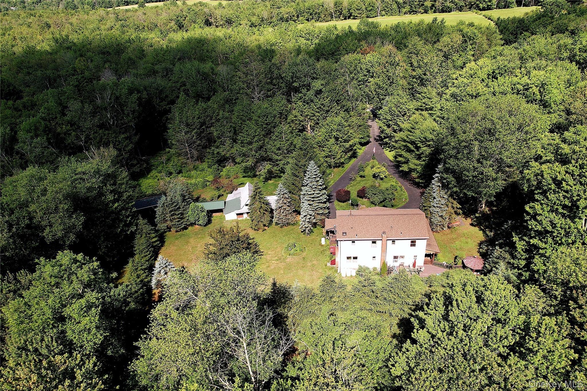 239 Burnt Ridge Road Liberty, NY 12754 - Photo 4 of 50
