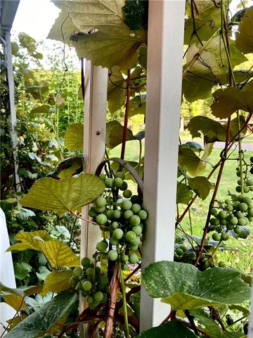 a backyard of a house with seating space