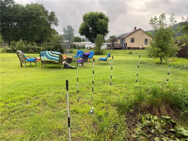 a view of a backyard