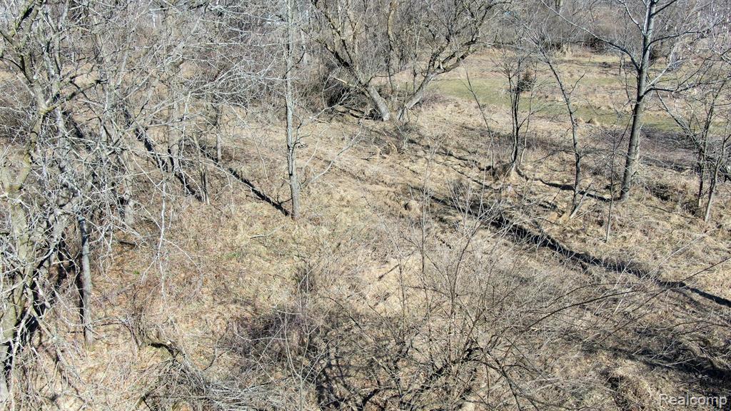 7495 Hartland Road Fenton, MI 48430 - Photo 11 of 27
