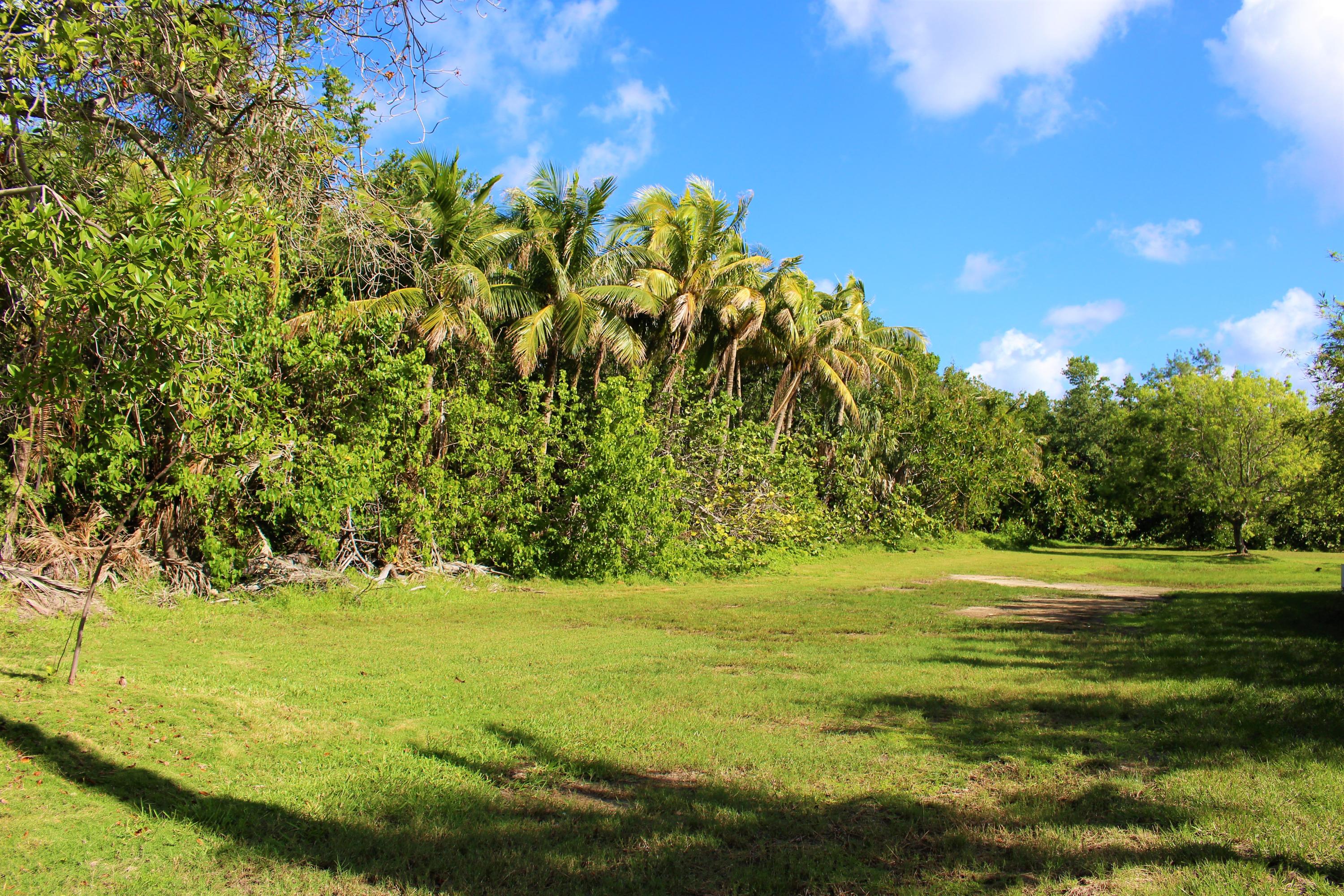 24 Hudson Avenue Ocean Ridge, FL 33435 - Photo 9 of 10 IMG_5310