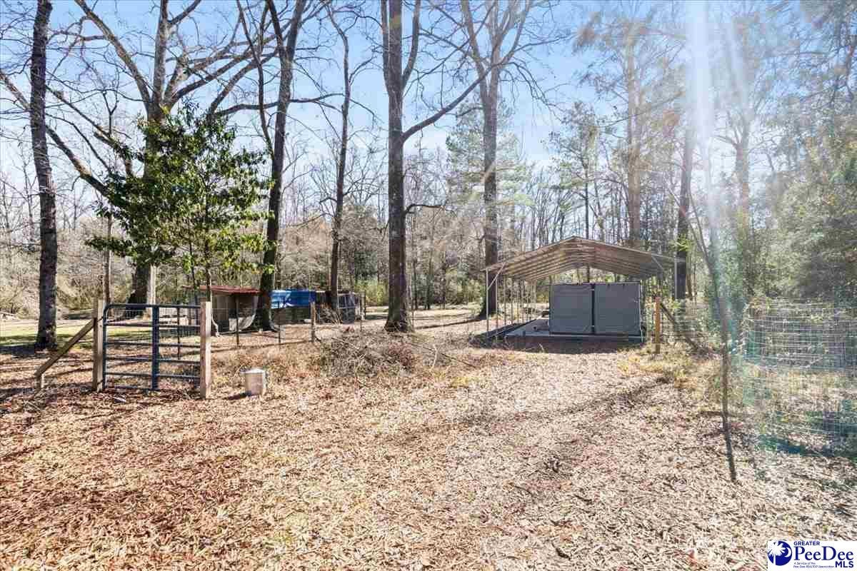 403 Blue Jay Road Latta, SC 29565 - Photo 43 of 43 Gallery Image 43