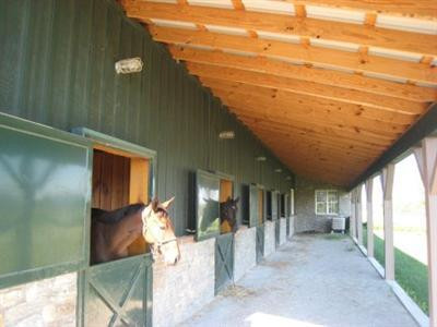 3100 Old Lemons Mill Road Lexington, KY 40511 - Photo 23 of 40 Photo 23