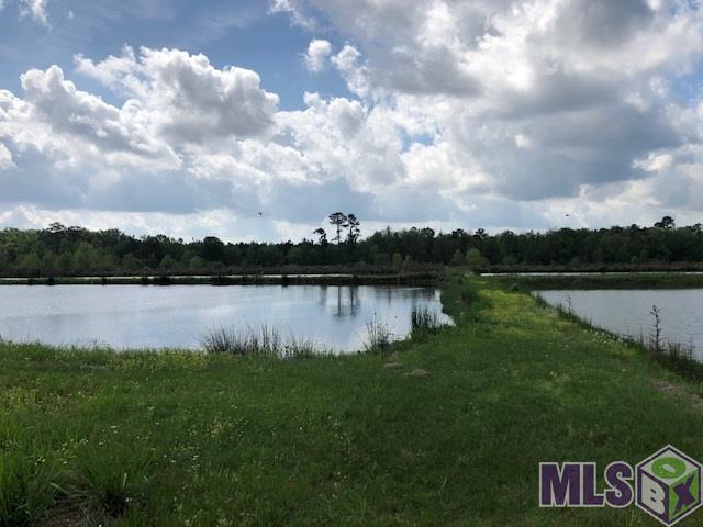 26632 Bennett Road Holden, LA 70744 - Photo 23 of 30 Gallery Image 23