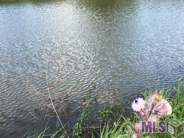 26632 Bennett Road Holden, LA 70744 - Photo 27 of 30 Gallery Image 27