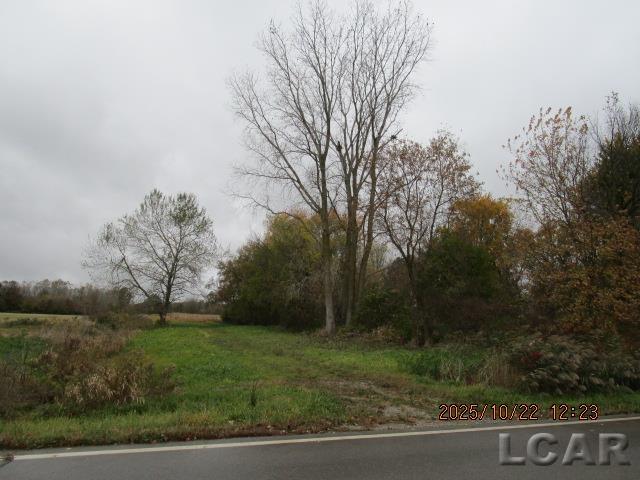 13002 Bartlett Road Clinton, MI 49236 - Photo 2 of 2
