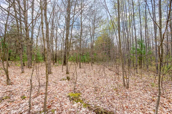 $425,000 | 7856 135th Avenue, Stanwood, MI 49346