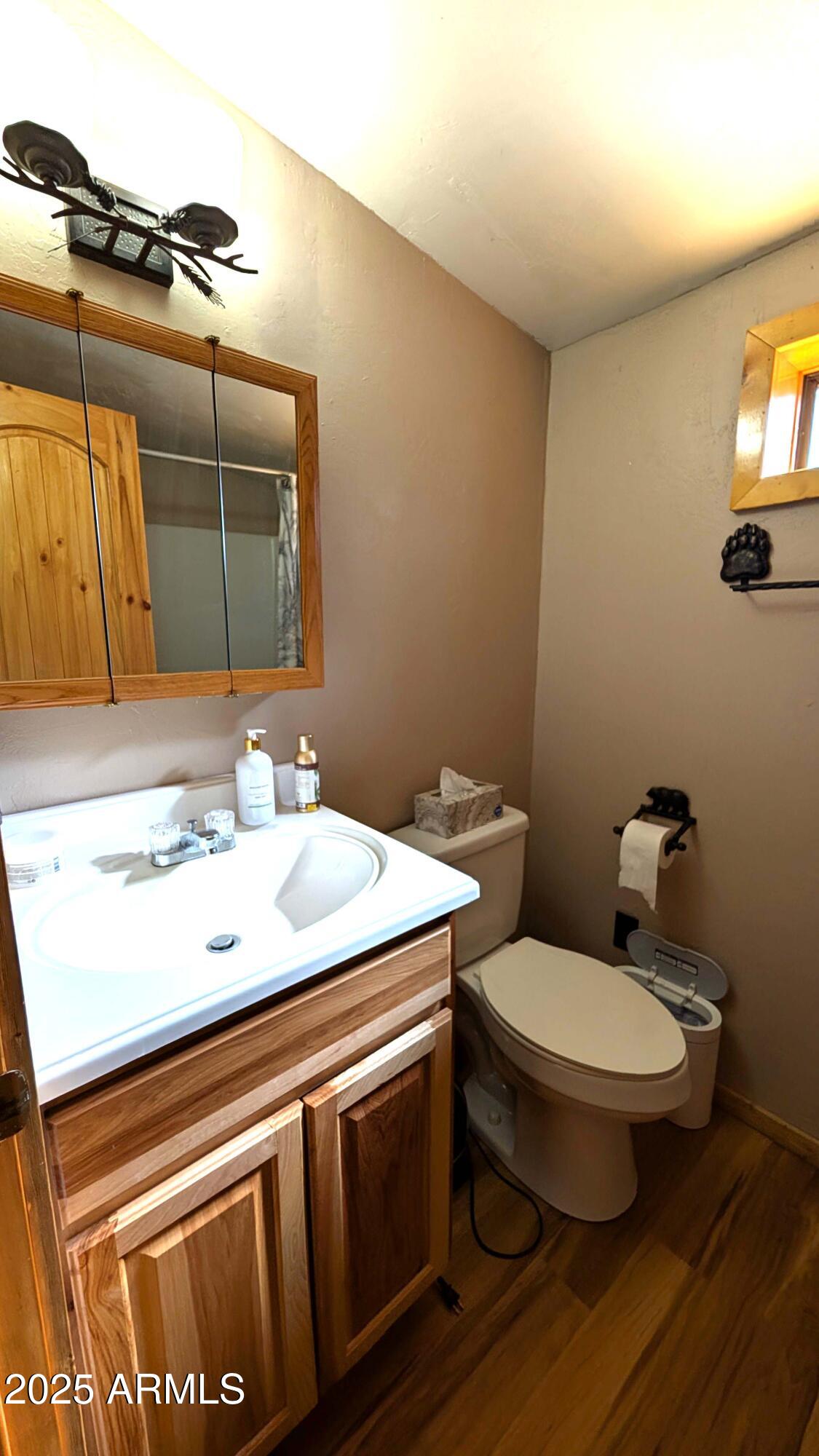 2425 Tall Trees Loop Forest Lakes, AZ 85931 - Photo 18 of 43 a bathroom with a sink and a toilet
