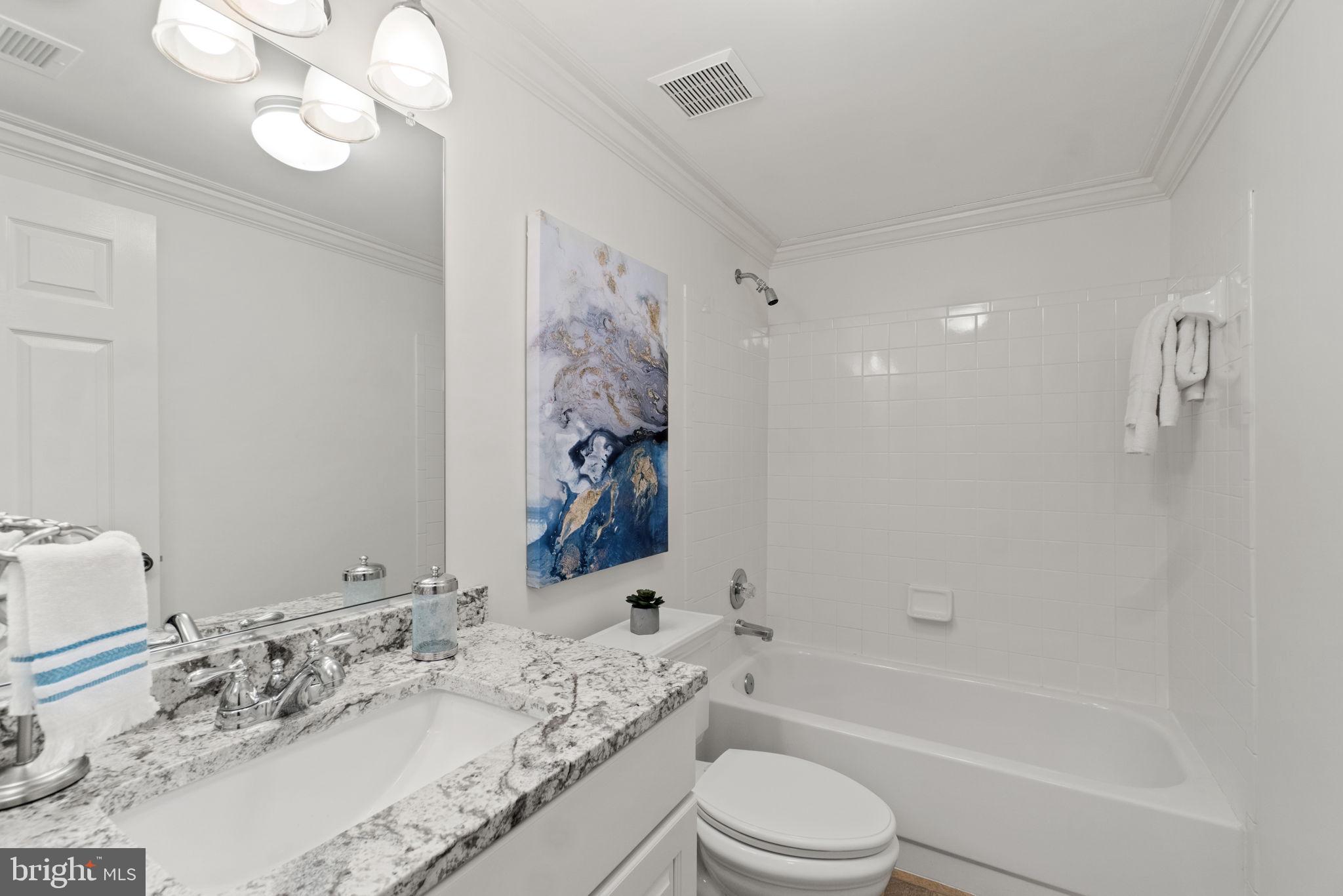 15408 Deep Bottom Road Darnestown, MD 20874 - Photo 45 of 82 Lower Level Full Bathroom
