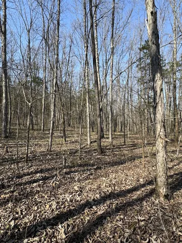 $139,900 | 0 Cainsville Road, Lascassas, TN 37085